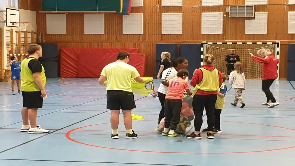 En bild